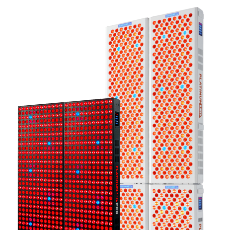 <p>SYSTÈMES DE FIXATION</p>