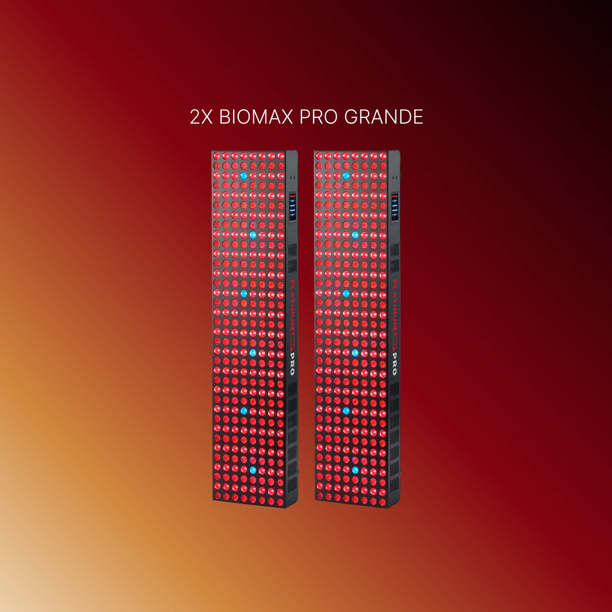 BIOMAX-PRO-GRANDE-+-GRANDE-2
